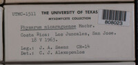 Image Associated With the Occurence
